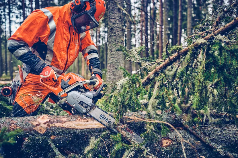 Бензинова ланцюгова пила Husqvarna 562 XP® Mark II — фото 4